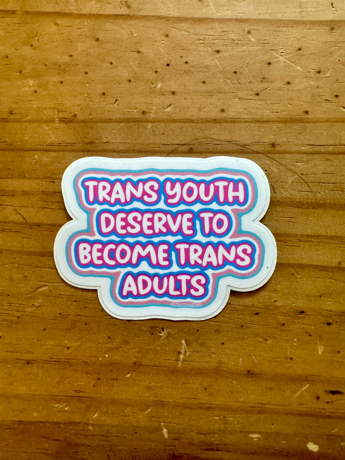 Trans Youth Deserve To Become Trans Adults Sticker