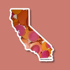 California State Sticker - 3” x 2.5" - Polypropylene - Rainbow - Sunset - Trans - LGBTQ+