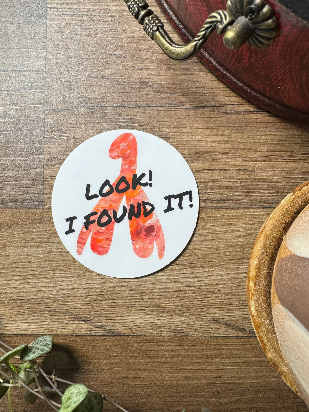 Look I Found It! - 3" Waterproof, Vinyl Sticker - Clitoris internal structure